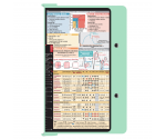 WhiteCoat Clipboard® - Mint Flight Medic Edition